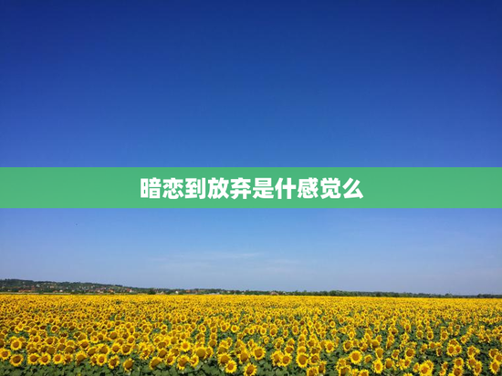 暗恋到放弃是什感觉么