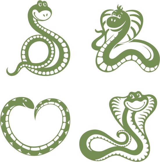 属蛇人可以带朱砂吗女生(解析朱砂的神秘力量与属蛇人的命运有关吗)