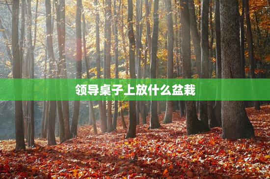 领导桌子上放什么盆栽