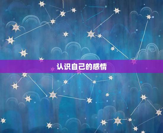 认识自己的感情