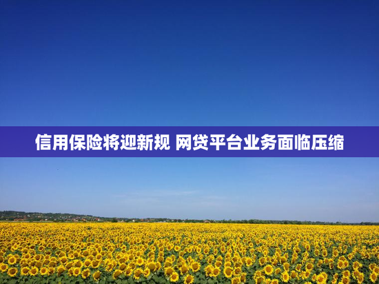 信用保险将迎新规 网贷平台业务面临压缩
