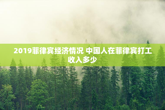 2019菲律宾经济情况 中国人在菲律宾打工收入多少