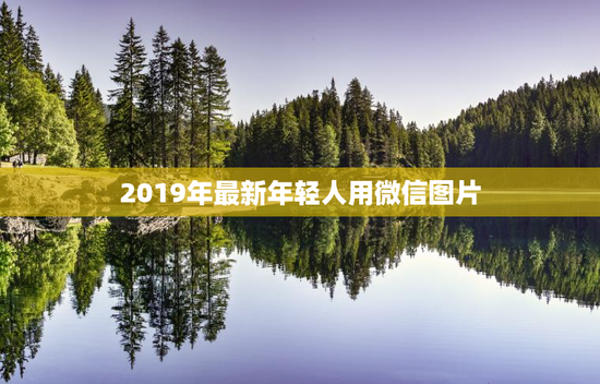 2019年最新年轻人用微信图片