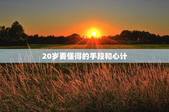 20岁要懂得的手段和心计