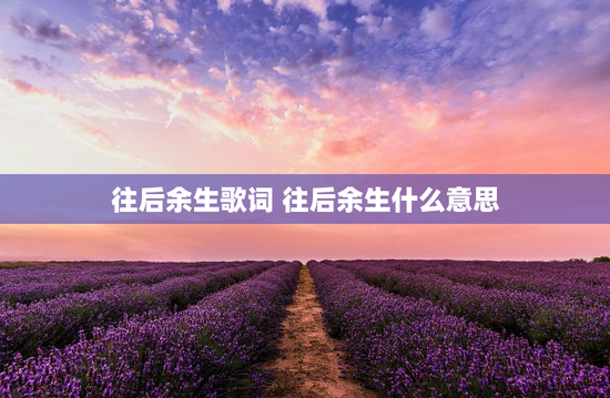 往后余生歌词 往后余生什么意思
