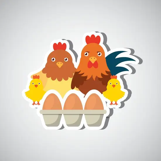 属鸡的今日运势财运排名(财运亨通好运连连)