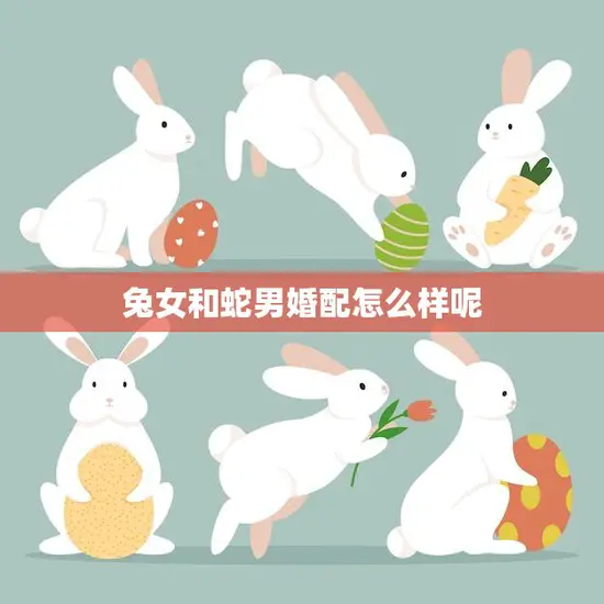 兔女和蛇男婚配怎么样呢(异类组合的爱情真的能长久吗)
