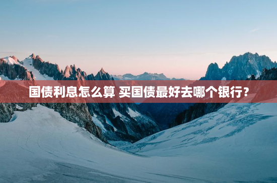 国债利息怎么算 买国债最好去哪个银行？