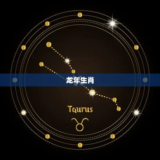 龙年生肖