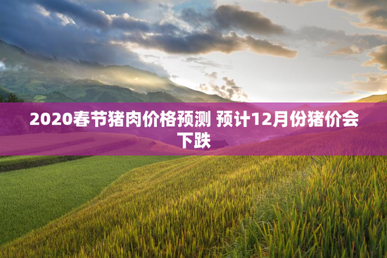 2020春节猪肉价格预测 预计12月份猪价会下跌