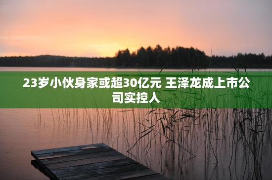 23岁小伙身家或超30亿元 王泽龙成上市公司实控人