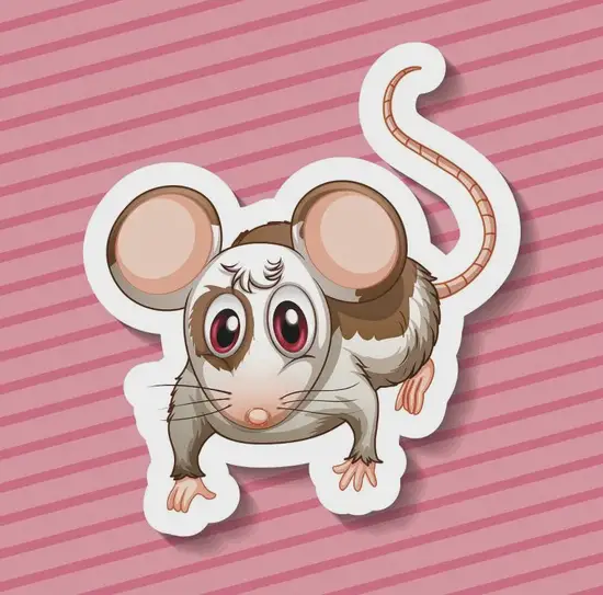 子时正确发音示意图