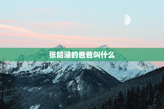 张韶涵的爸爸叫什么