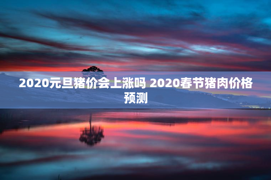 2020元旦猪价会上涨吗 2020春节猪肉价格预测