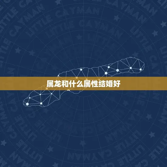 属龙和什么属性结婚好