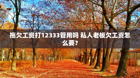拖欠工资打12333管用吗 私人老板欠工资怎么要？