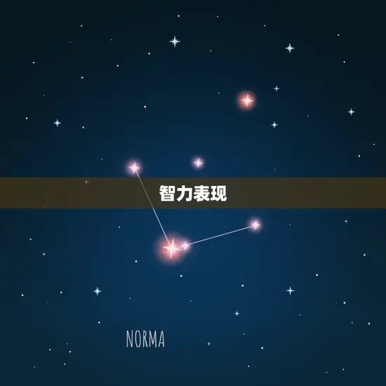 智力表现 智力表现