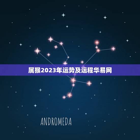 属猴2023年运势及运程华易网(猴子逢凶化吉财运亨通)