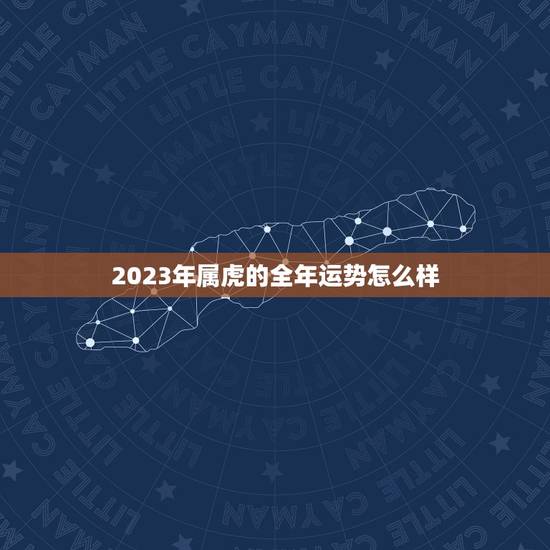 2023年属虎的全年运势怎么样(狮子山上的虎迎接新的挑战)