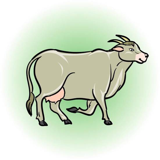 79年羊几月出生命好苦(如何应对命运的挑战)