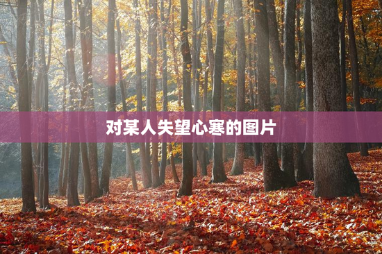 对某人失望心寒的图片