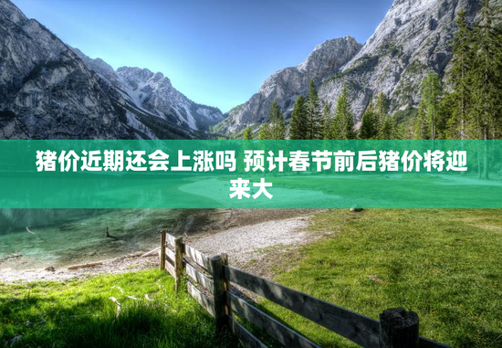 猪价近期还会上涨吗 预计春节前后猪价将迎来大