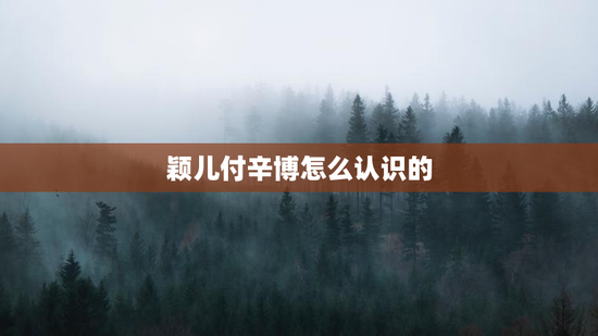 颖儿付辛博怎么认识的