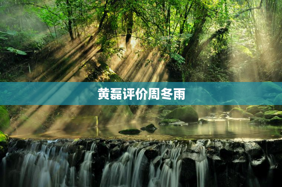 黄磊评价周冬雨