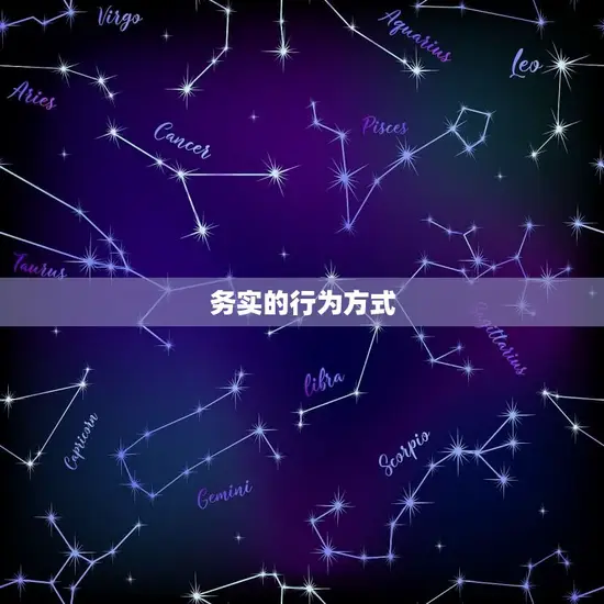 务实的行为方式