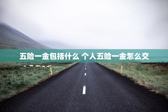 五险一金包括什么 个人五险一金怎么交