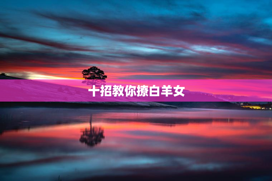十招教你撩白羊女