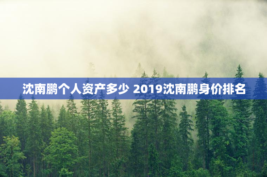 沈南鹏个人资产多少 2019沈南鹏身价排名