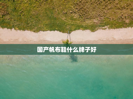 国产帆布鞋什么牌子好