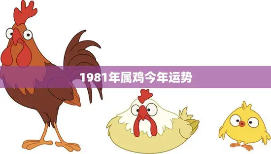 1981年属鸡今年运势(财运亨通事业有成)