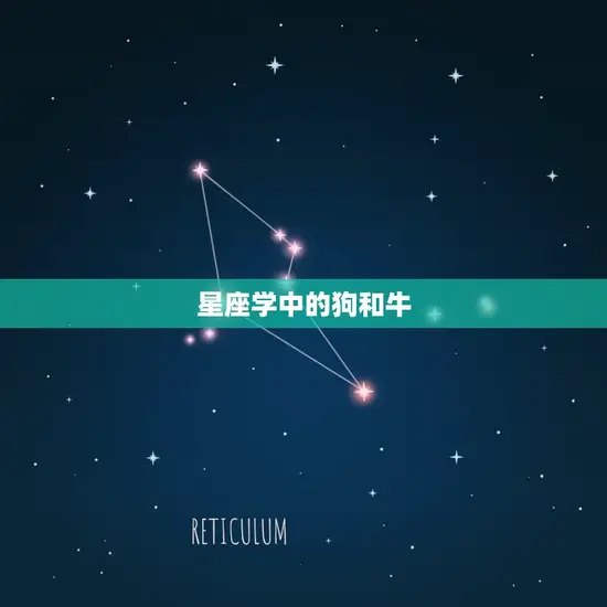 星座学中的狗和牛