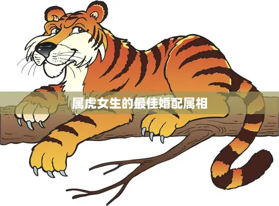 属虎女生的最佳婚配属相(如何选择)