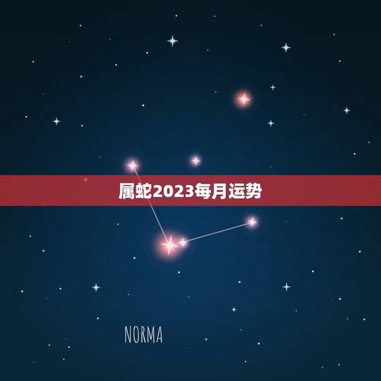 属蛇2023每月运势(顺境中求进步逆境中保持平衡)