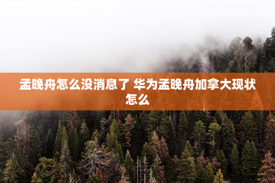 孟晚舟怎么没消息了 华为孟晚舟加拿大现状怎么