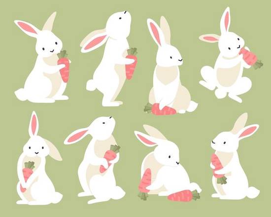 99年男兔最佳配偶属相(揭秘哪些属相最适合与兔子男结婚)