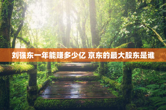 刘强东一年能赚多少亿 京东的最大股东是谁