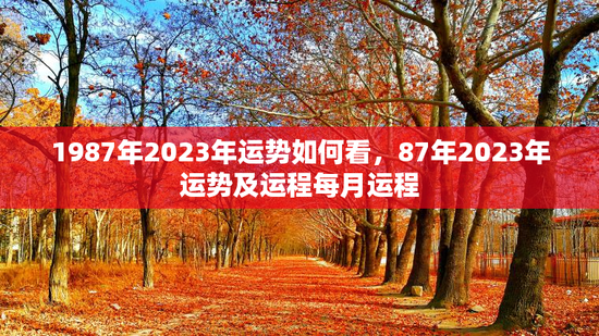 1987年2023年运势如何看，87年2023年运势及运程每月运程
