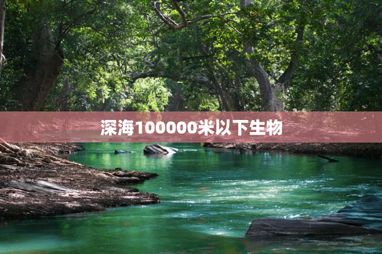 深海100000米以下生物