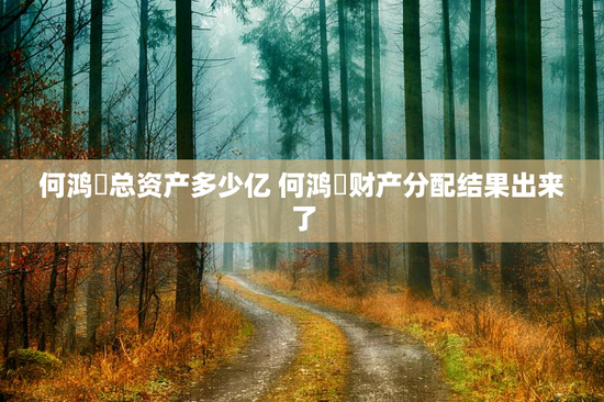 何鸿燊总资产多少亿 何鸿燊财产分配结果出来了