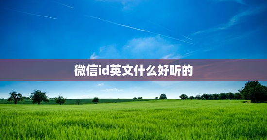微信id英文什么好听的