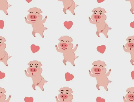 生肖猪财运布局