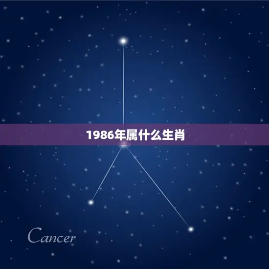 1986年属什么生肖