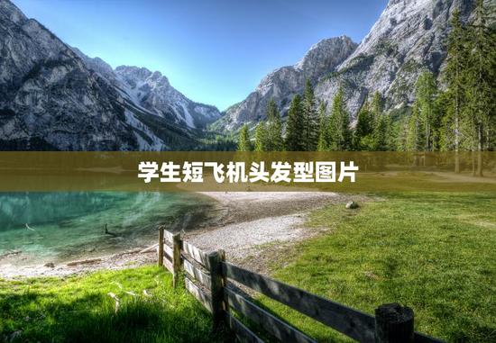 学生短飞机头发型图片 学生短飞机头发型图片