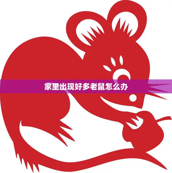 家里出现好多老鼠怎么办(快速有效的灭鼠方法)