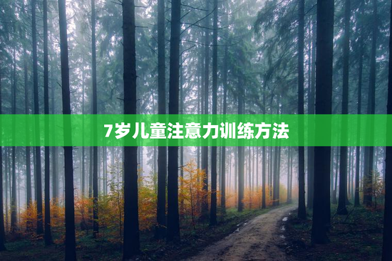 7岁儿童注意力训练方法