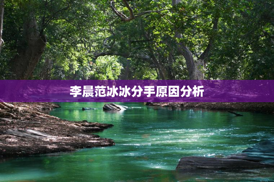 李晨范冰冰分手原因分析